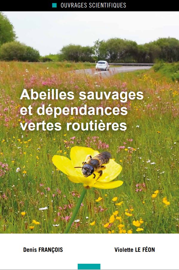 Abeilles sauvages et dépendances vertes routières