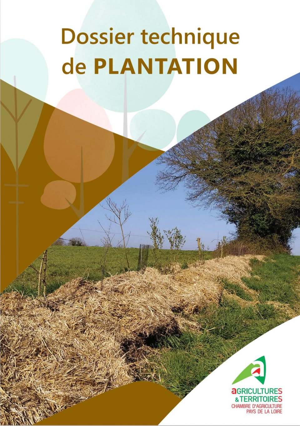 Dossier technique de plantation de haies en Pays de la Loire