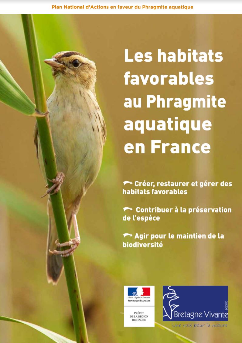 Les habitats favorables au Phragmite aquatique en France