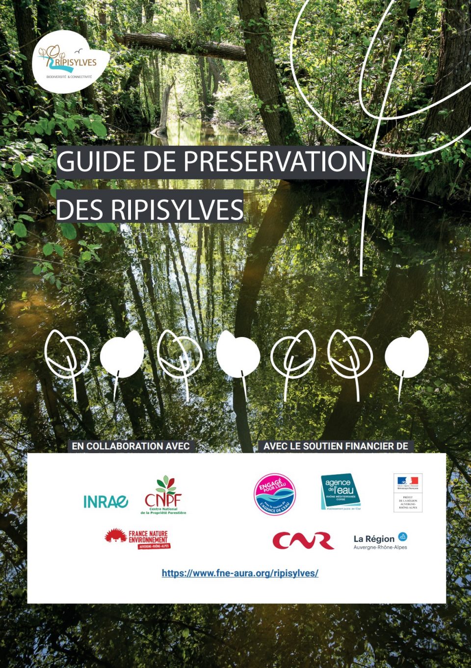 Guide de préservation des ripisylves