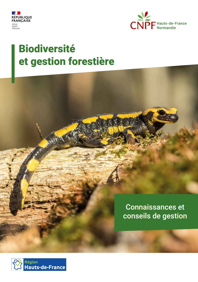 Biodiversité et gestion forestière : connaissances et conseils de gestion