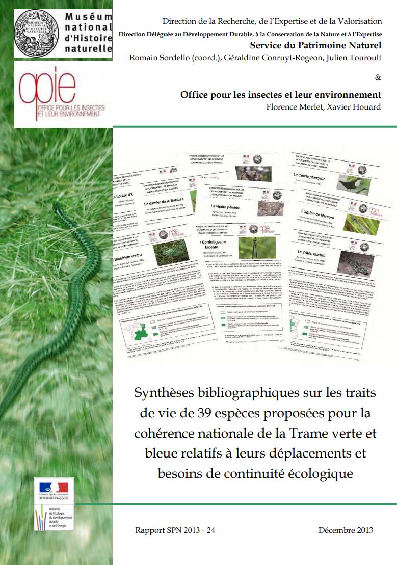 Synthèses bibliographiques sur les traits de vie de 39 espèces proposées pour la cohérence nationale de la Trame verte et bleue relatifs à leurs déplacements et besoins de continuité écologique