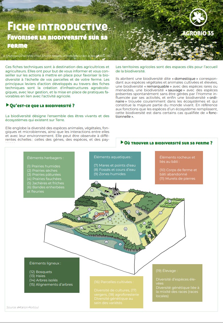 Favoriser la biodiversité sur sa  ferme - Fiche introductive 