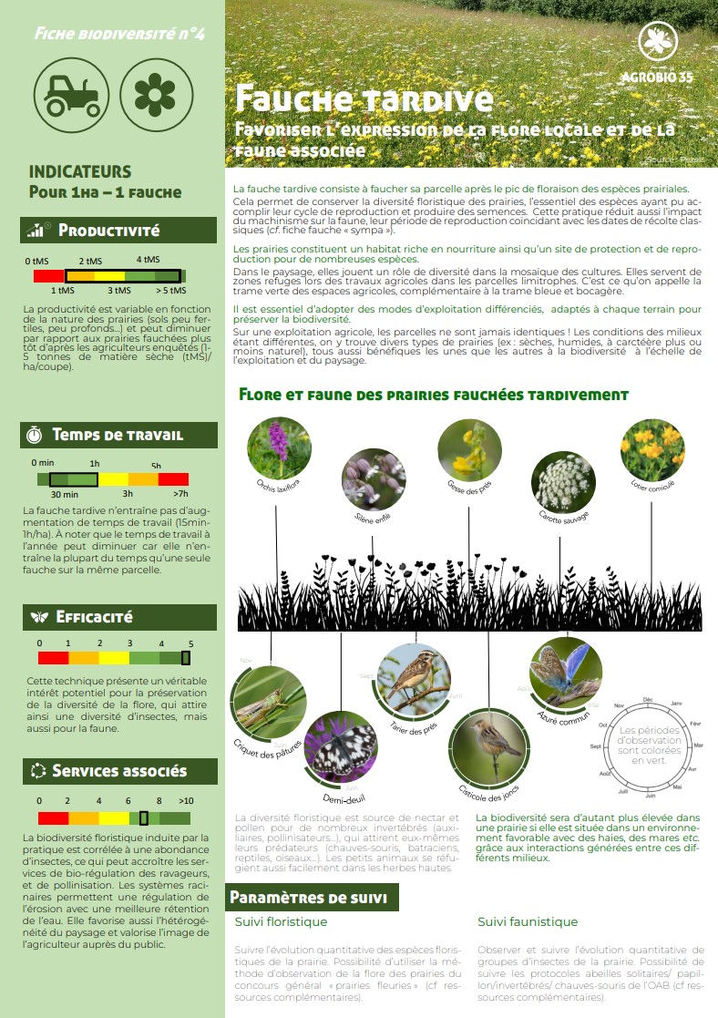 Fauche tardive - Favoriser l’expression de la flore locale et de la  faune associée