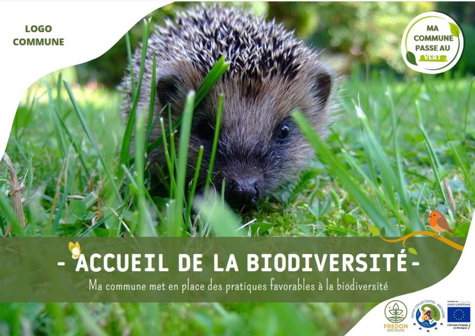 Visuels pour communiquer sur la gestion adaptée des espaces publics