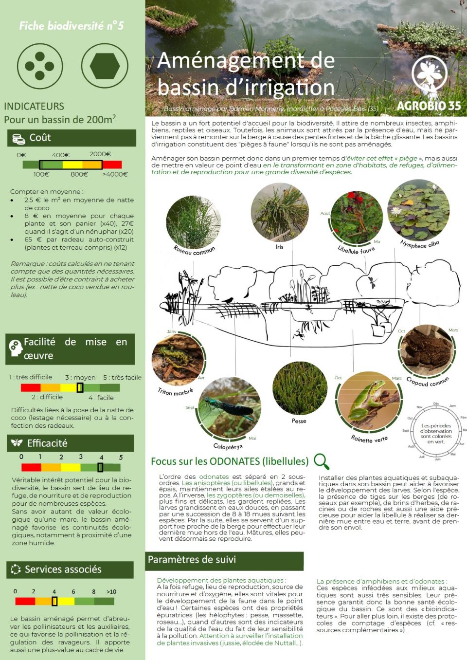 Aménagement de bassin d’irrigation