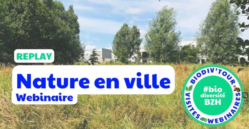 Webinaire Biodiv’Tour : Nature en ville