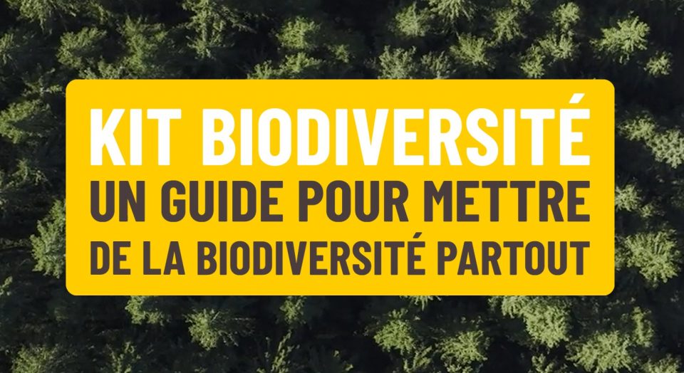 Kit Biodiversité : un guide pour mettre de la biodiversité partout