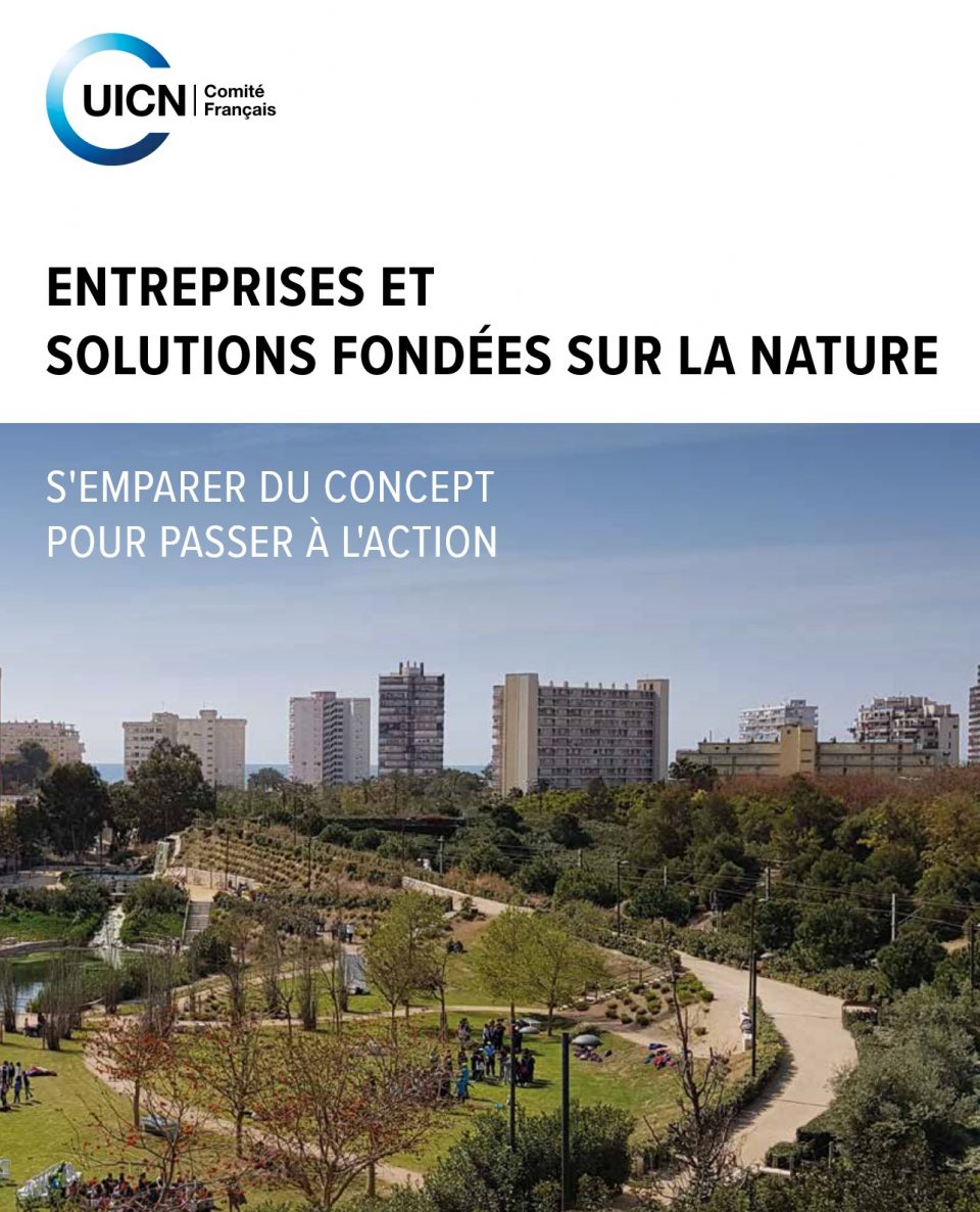 Entreprises & Solutions fondées sur la Nature : s'emparer du concept pour passer à l'action