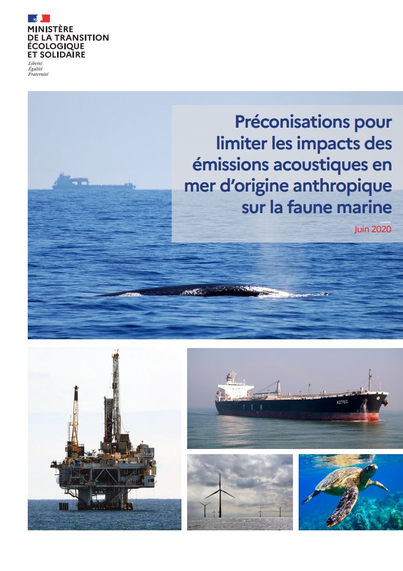 Préconisations pour limiter les impacts des émissions acoustiques en mer d'origine anthropique sur la faune marine