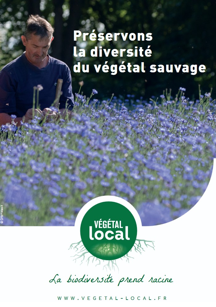 Végétal local