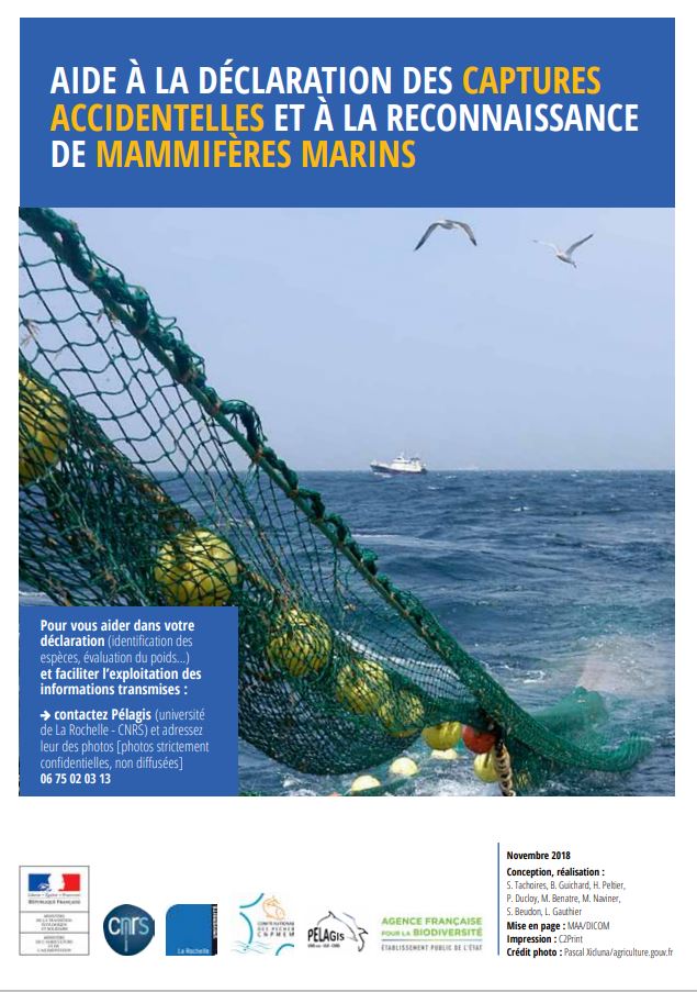 Aide à la déclaration des captures accidentelles et à la reconnaissance de mammifères marins