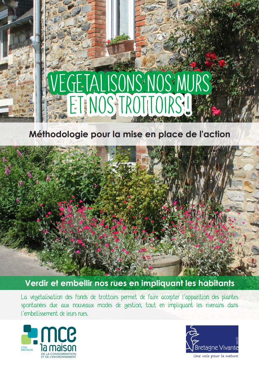 Végétalisons nos murs et nos trottoirs!