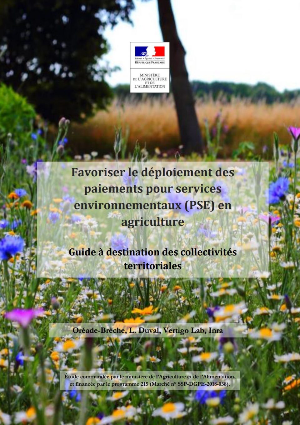 Favoriser le déploiement des PSE - Guide à destination des collectivités territoriales