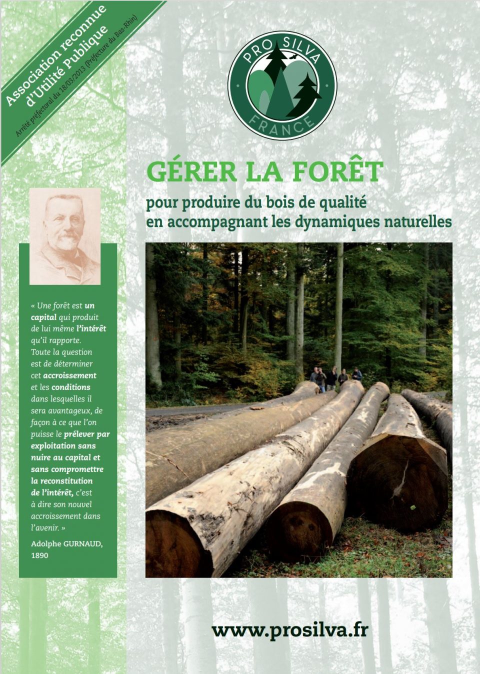 Gérer la forêt pour produire du bois de qualité en accompagnant les dynamiques naturelles