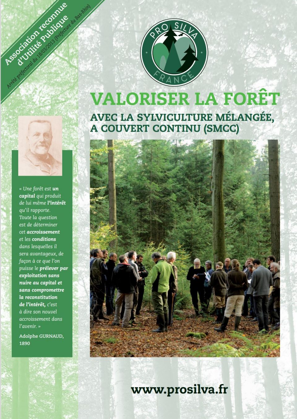 Valoriser la forêt avec la sylviculture mélangée, à couvert continu (SMCC)