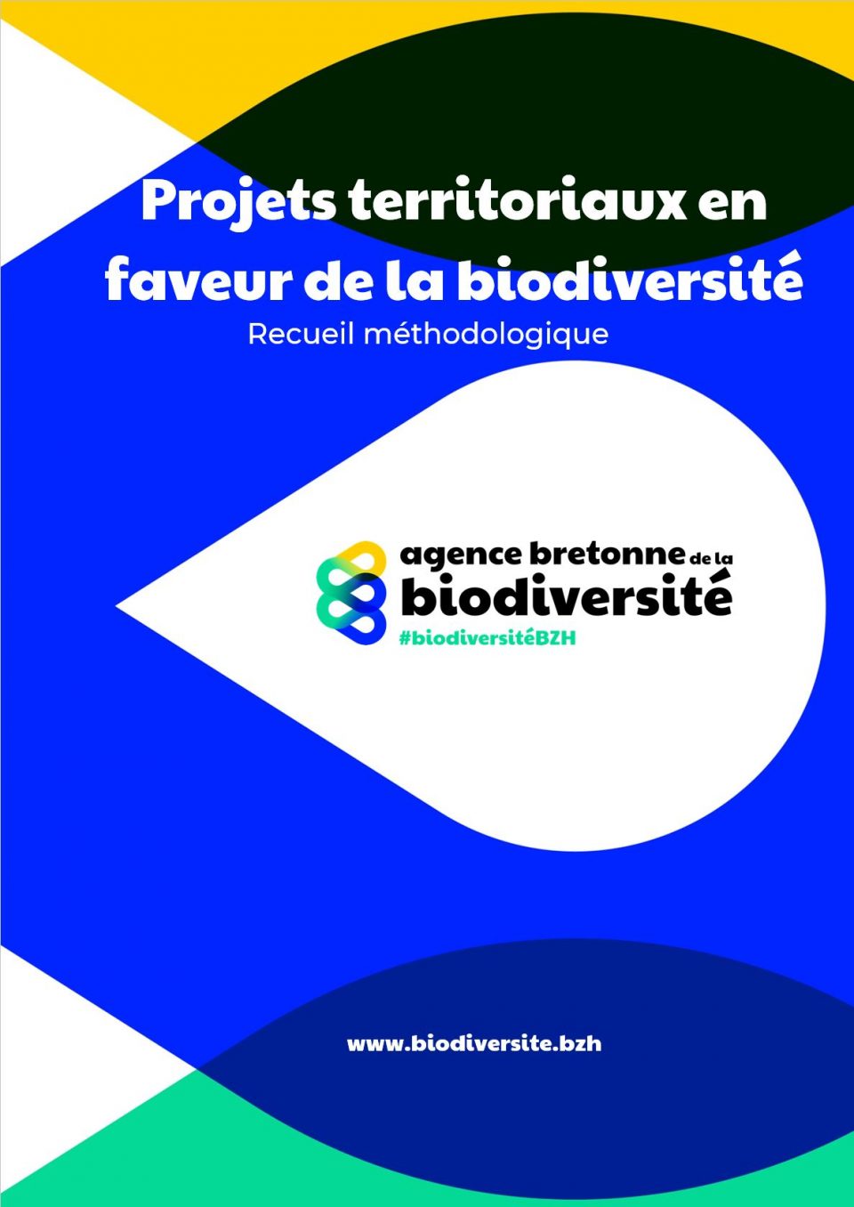 Identification des enjeux d'un schéma local de la trame verte et bleue  et proposition d'actions: l'exemple de la Communauté de communes Val d'Ille-Aubigné