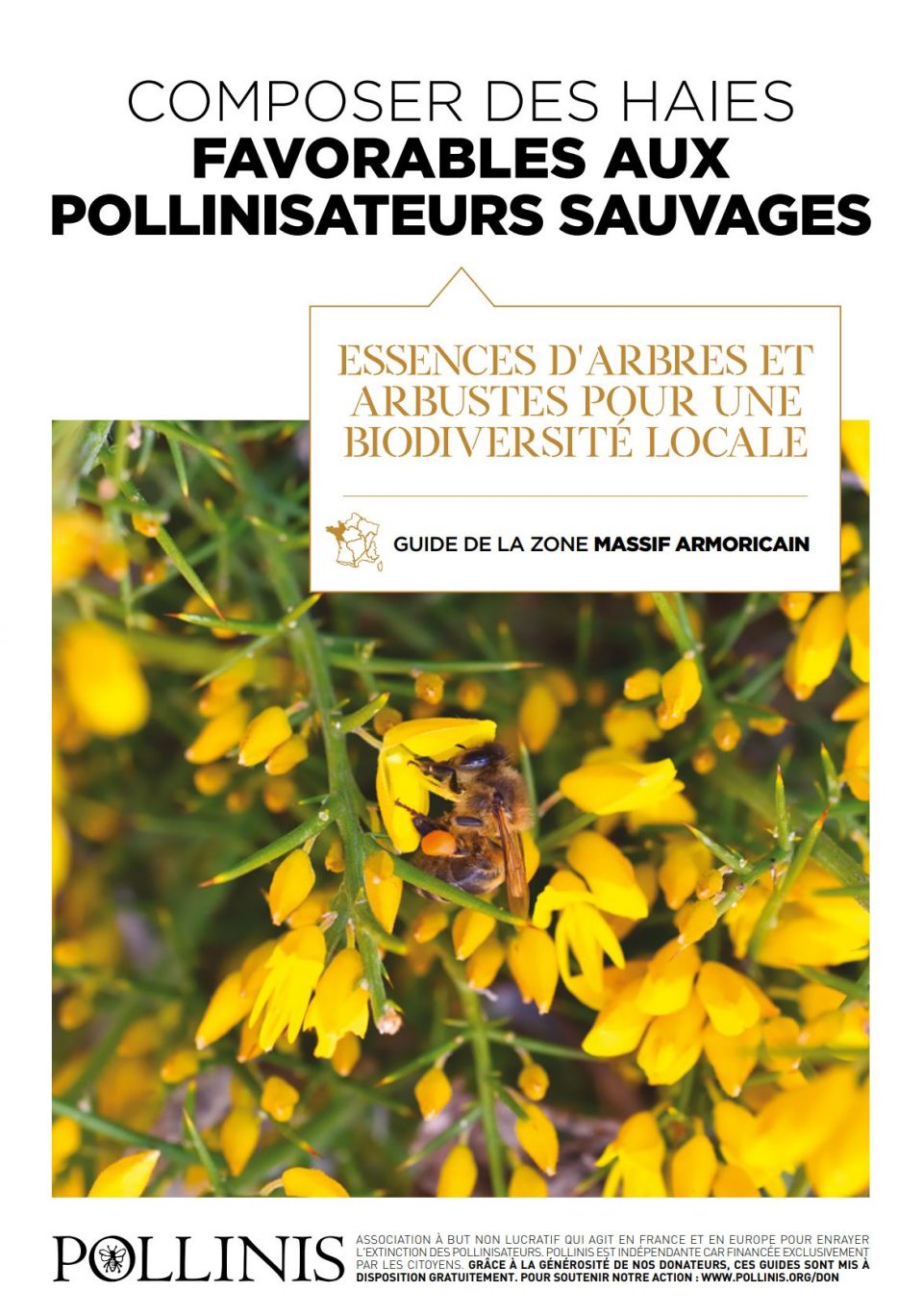 Composer des haies favorables aux pollinisateurs sauvages - Essences d'arbres et arbustes pour une biodiversité locale - Guide de la zone massif armoricain