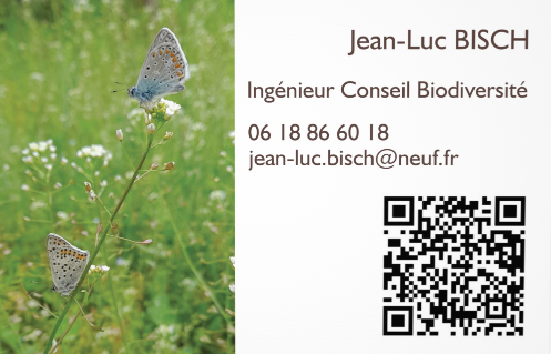Jean-Luc BISCH