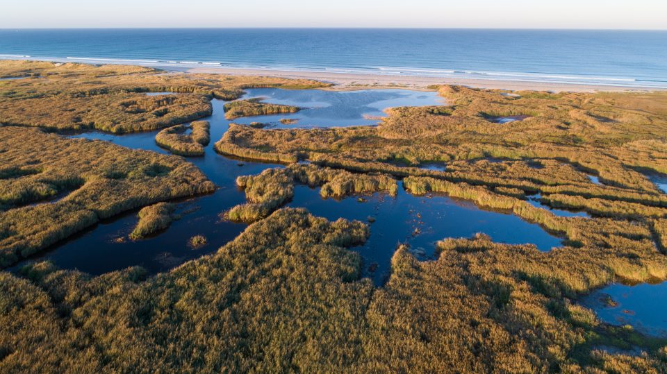 Les étapes vers un projet Ramsar pour le territoire