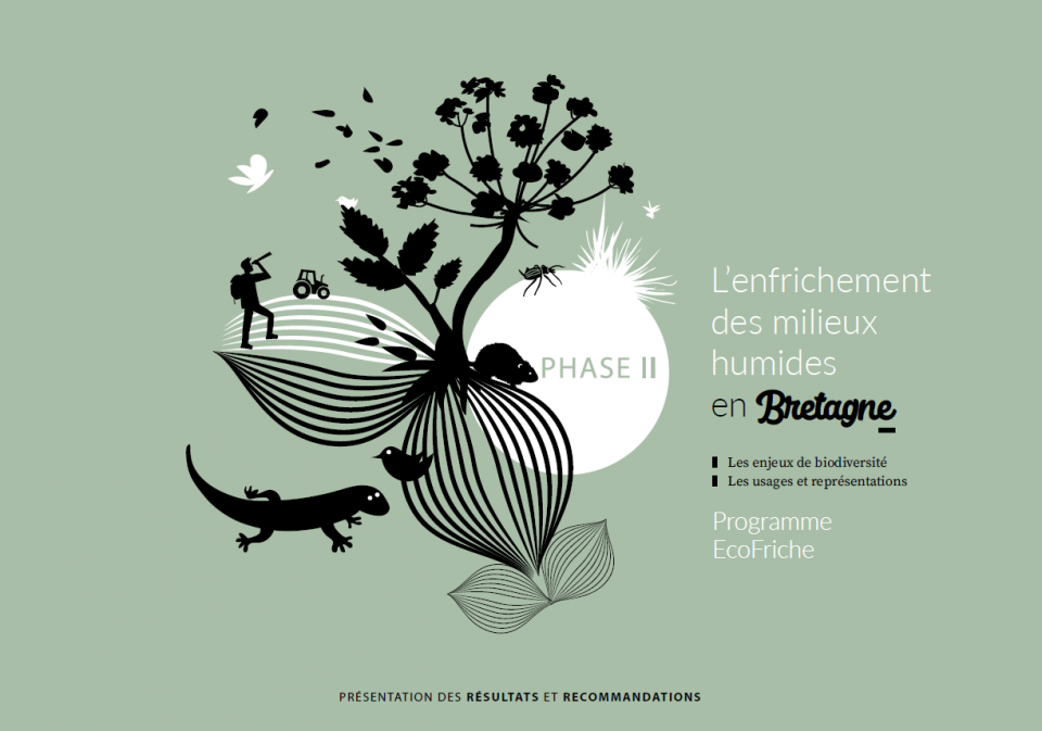 Programme EcoFriche phase 2 - L’enfrichement des milieux humides en Bretagne : enjeux de biodiversité, usages et représentations