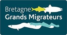 Guide méthodologique pour l’accès aux données sur les poissons migrateurs en Bretagne 