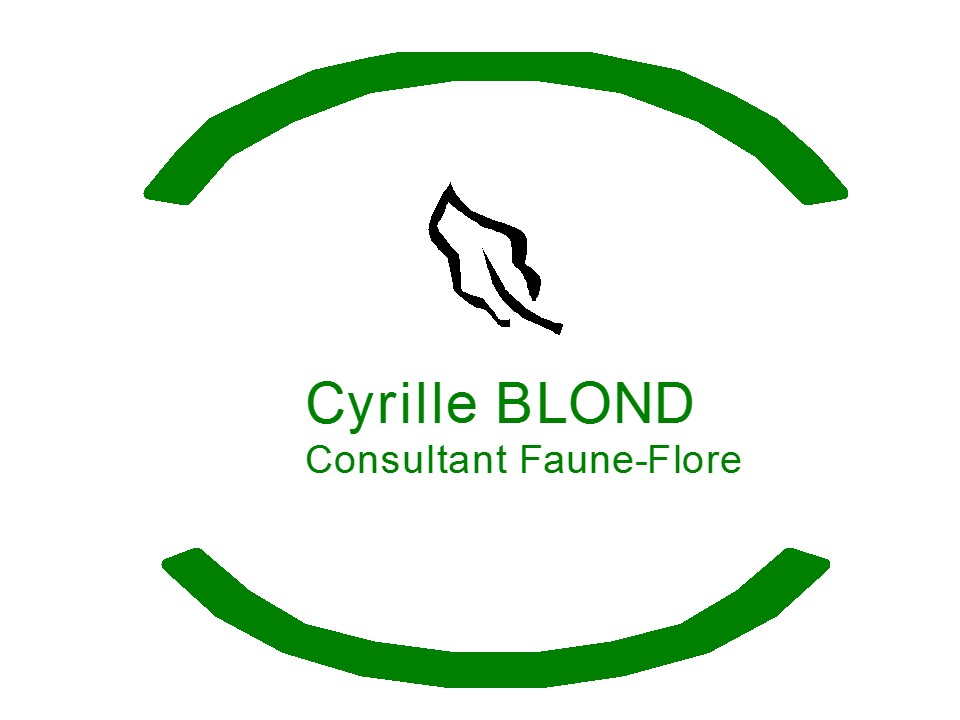 Cyrille BLOND