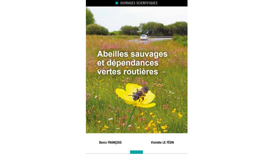 Abeilles sauvages et dépendances vertes routières