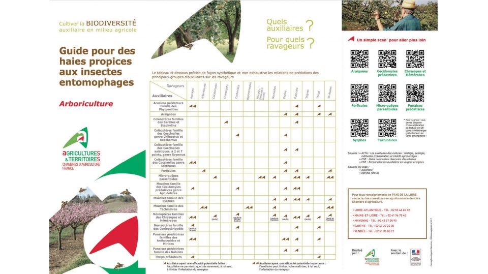 Guide pour des haies propices aux insectes entomophages - Arboriculture