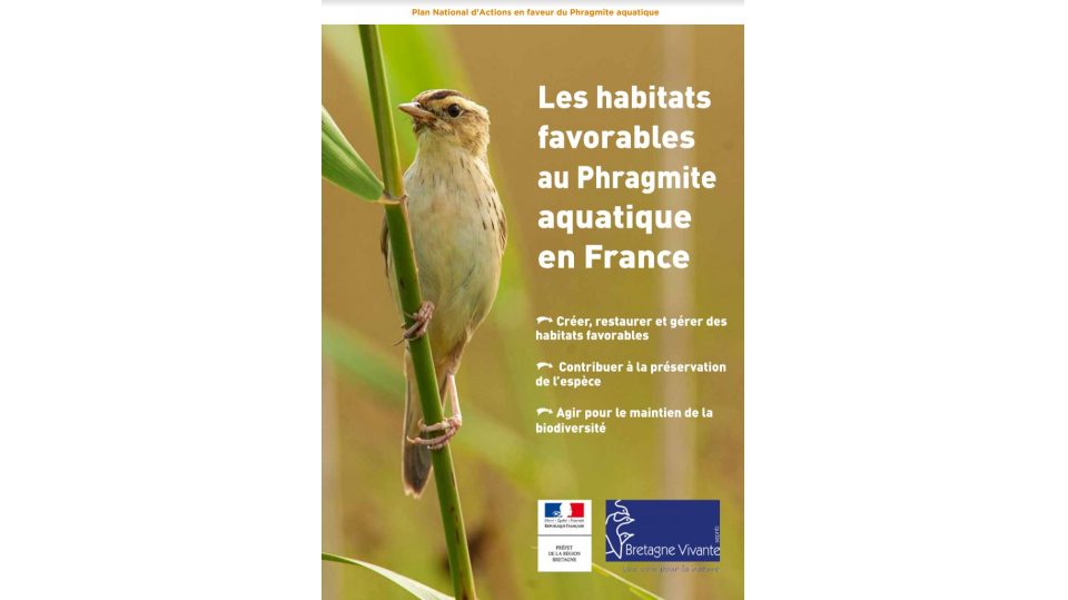 Les habitats favorables au Phragmite aquatique en France