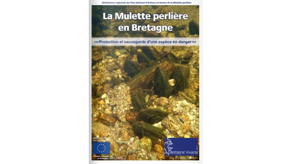 La Mulette perlière en Bretagne