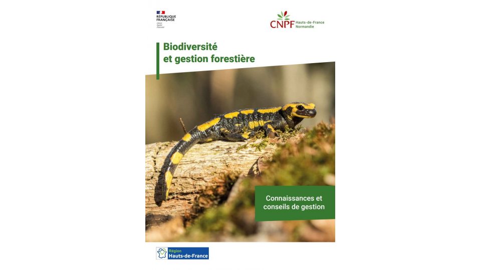 Biodiversité et gestion forestière : connaissances et conseils de gestion