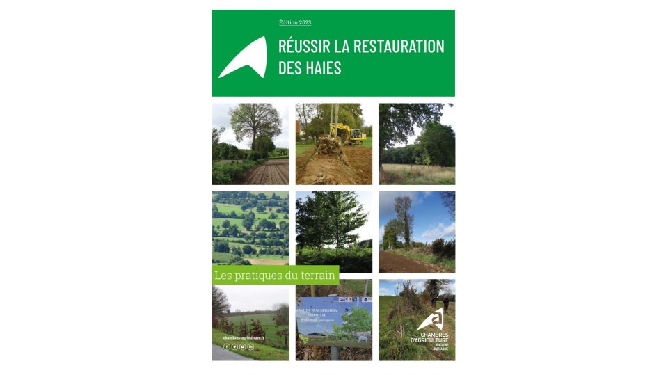 Réussir la restauration des haies