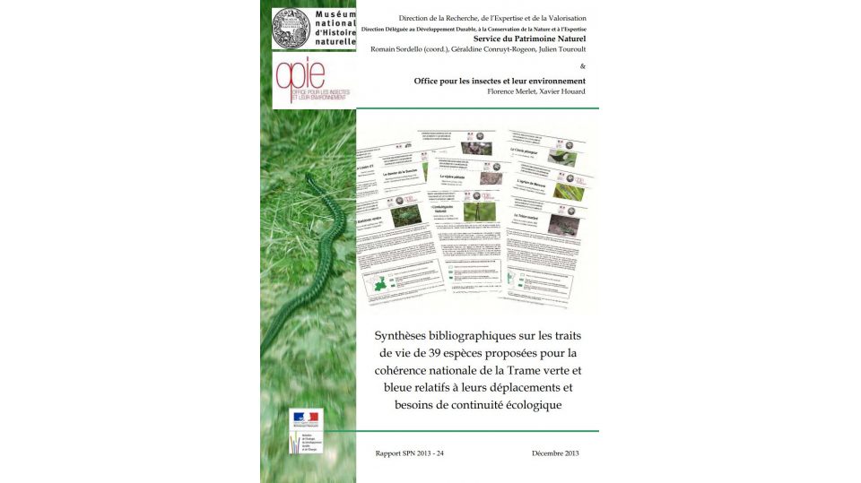 Synthèses bibliographiques sur les traits de vie de 39 espèces proposées pour la cohérence nationale de la Trame verte et bleue relatifs à leurs déplacements et besoins de continuité écologique