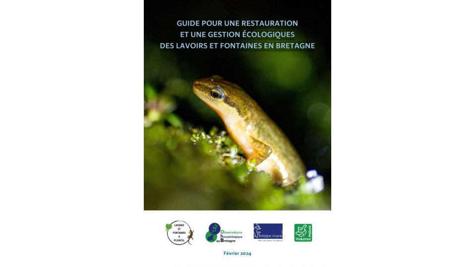 Guide pour une restauration et une gestion écologique des lavoirs et fontaines en Bretagne