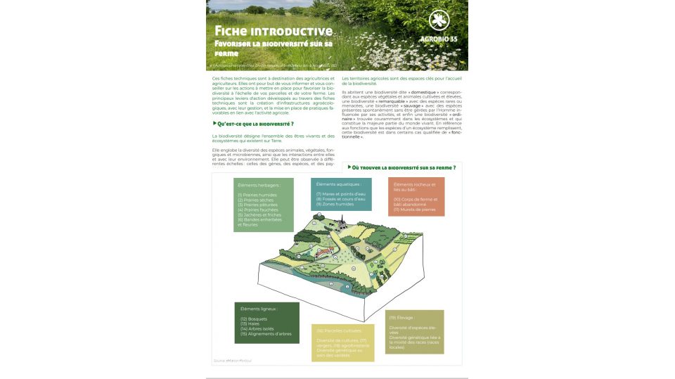 Favoriser la biodiversité sur sa  ferme - Fiche introductive 