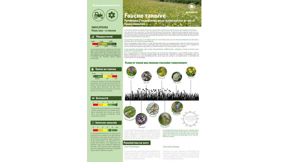 Fauche tardive - Favoriser l’expression de la flore locale et de la  faune associée