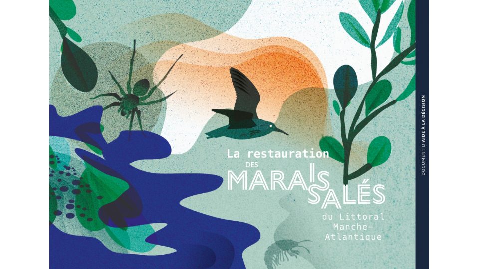 La restauration des marais salés du littoral Manche-Atlantique