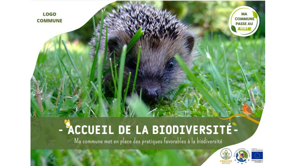 Visuels pour communiquer sur la gestion adaptée des espaces publics