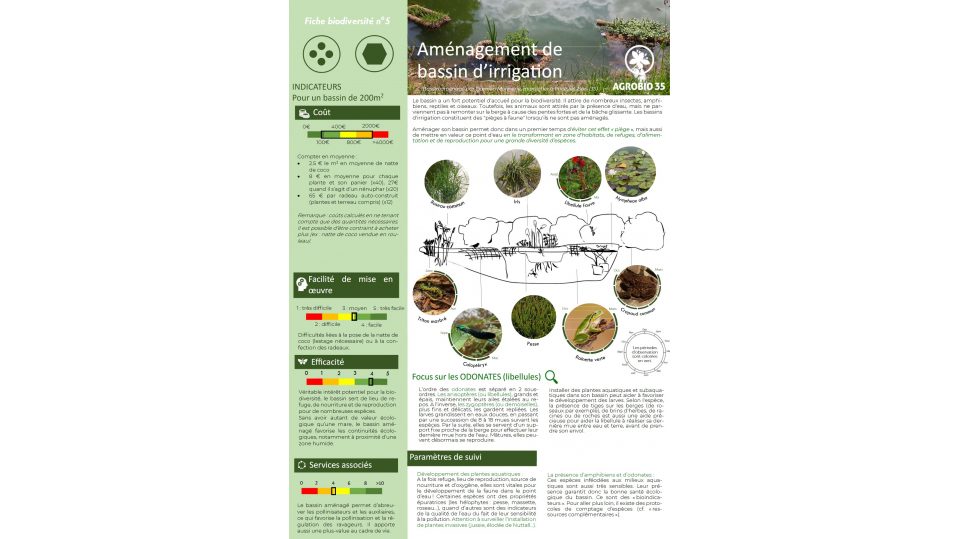 Aménagement de bassin d’irrigation