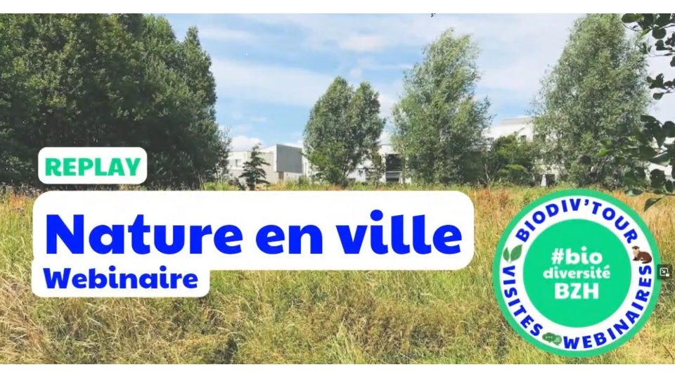 Webinaire Biodiv’Tour : Nature en ville 