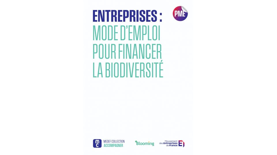 Entreprises : mode d'emploi pour financer la biodiversité