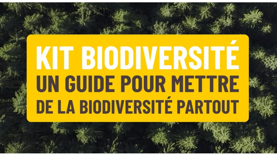 Kit Biodiversité : un guide pour mettre de la biodiversité partout