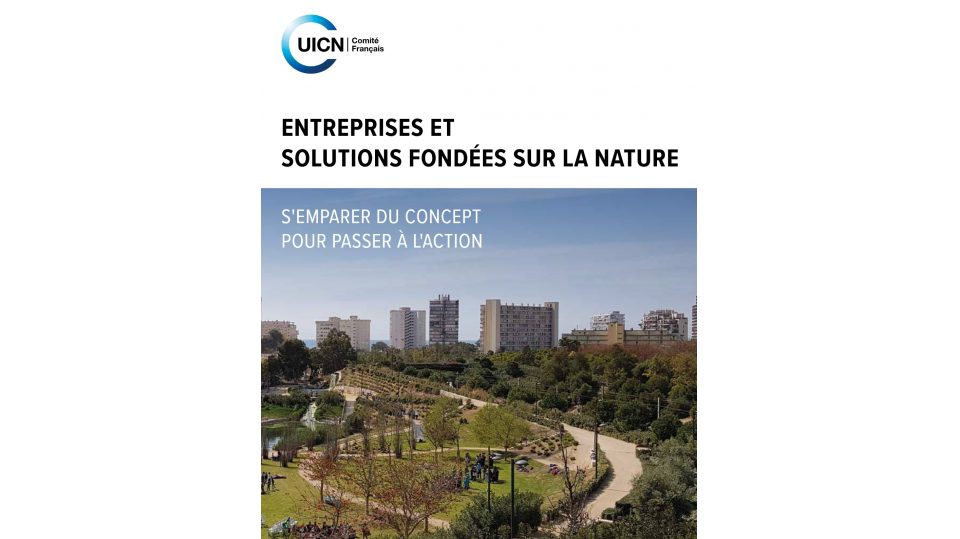 Entreprises & Solutions fondées sur la Nature : s'emparer du concept pour passer à l'action