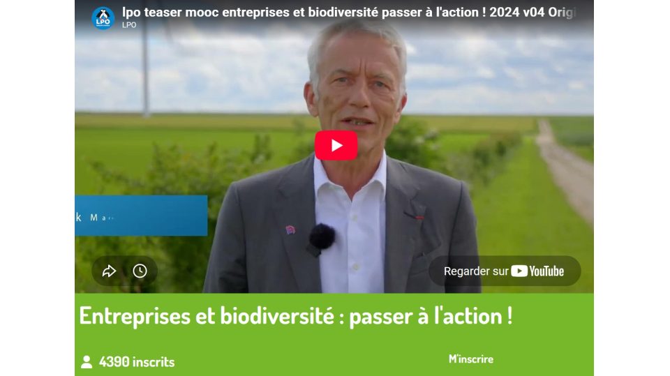 MOOC Entreprises & Biodiversité : passer à l’action