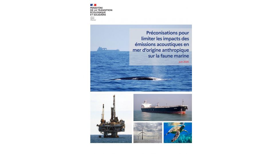 Préconisations pour limiter les impacts des émissions acoustiques en mer d'origine anthropique sur la faune marine