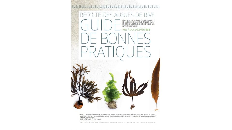 Récolte des algues de rive: guide des bonnes pratiques