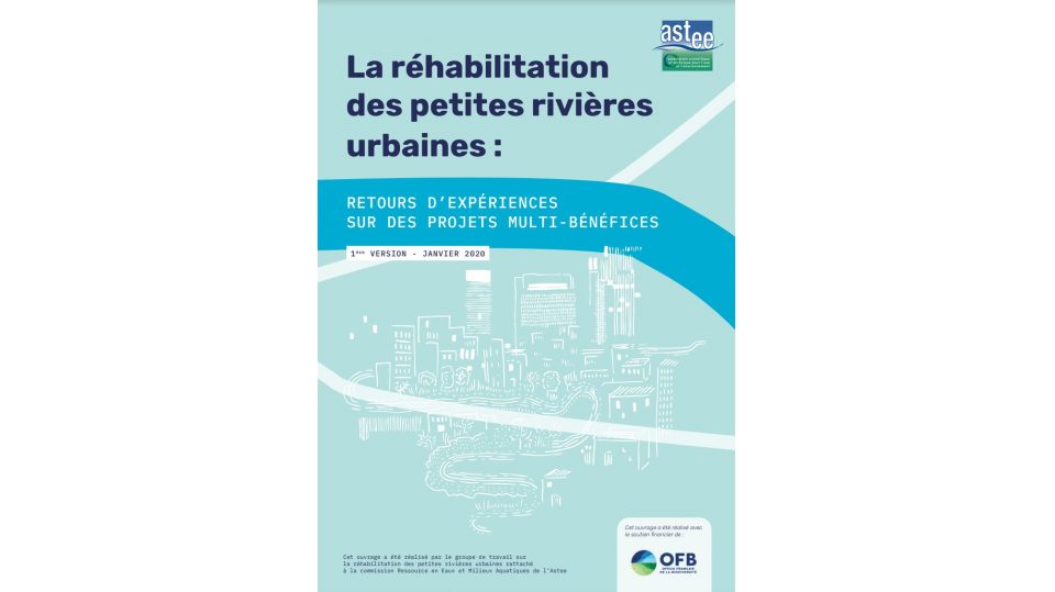 La réhabilitation des petites rivières urbaines: retours d'expérience sur des projets multi-bénéfices