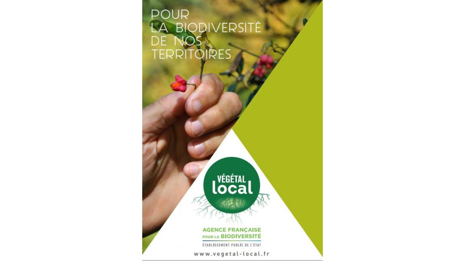 Végétal local