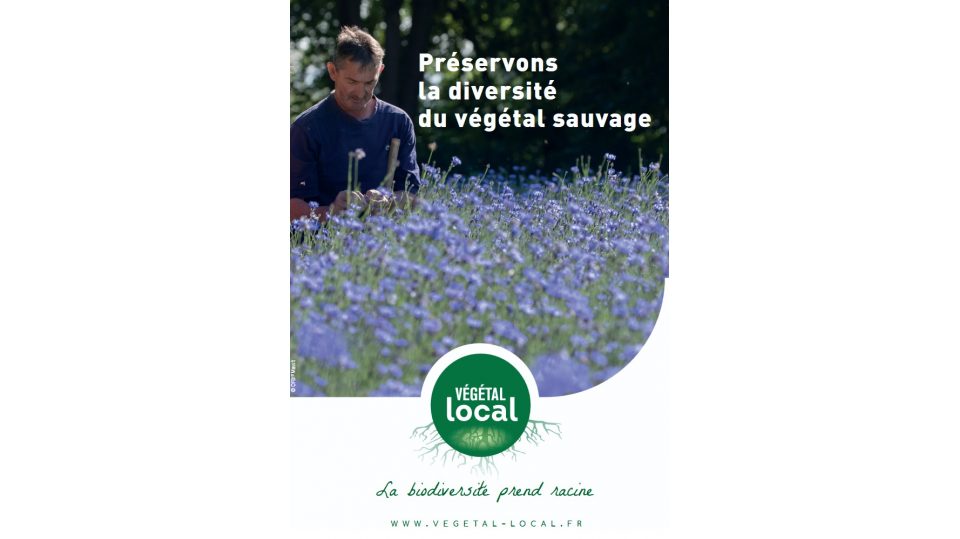 Végétal local